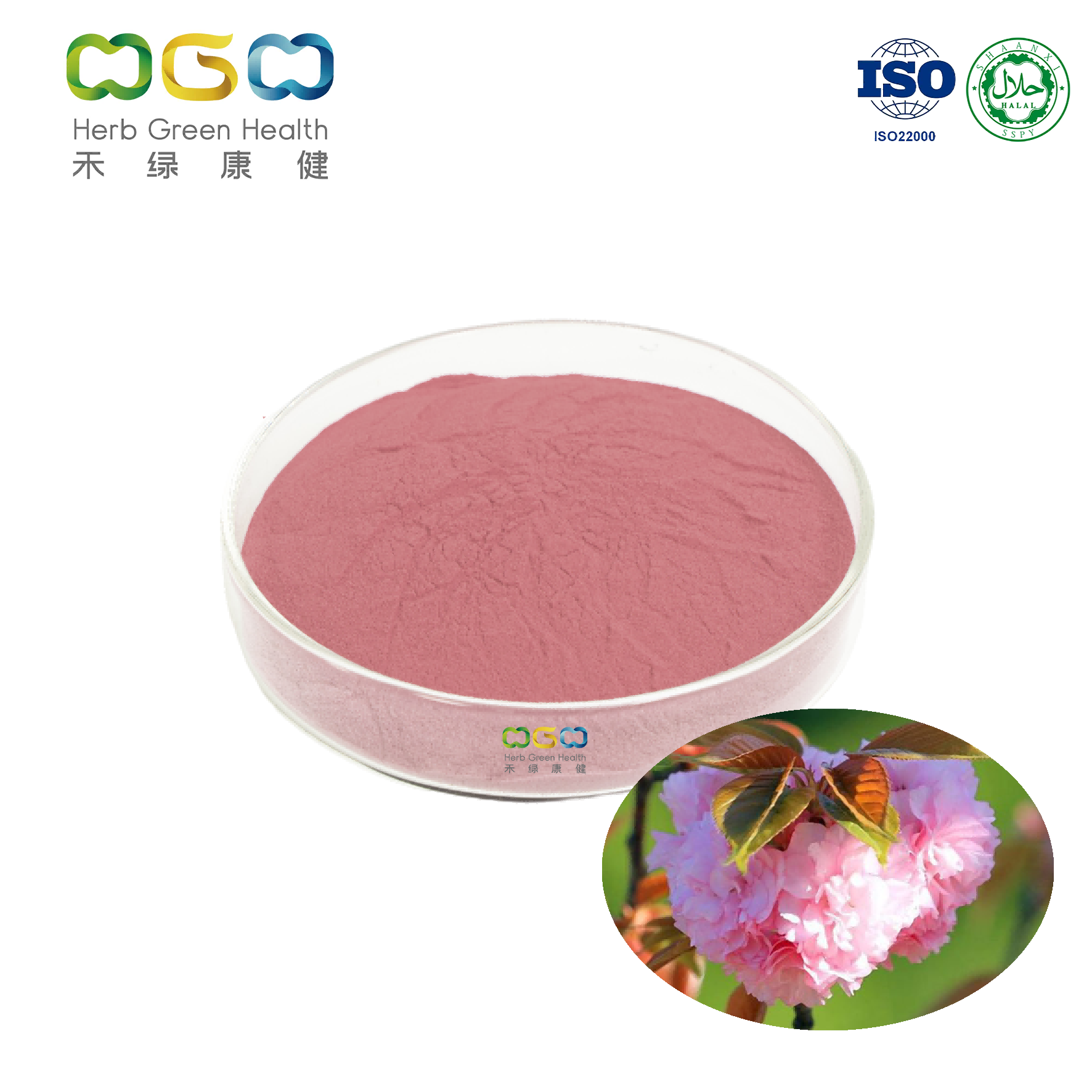 Polisacáridos del extracto de Sakura del ingrediente cosmético para aclarar la piel