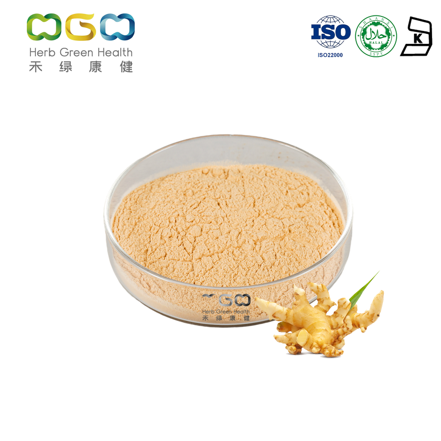 Extracto de jengibre Gingerol 1-5% en polvo para aumentar la inmunidad