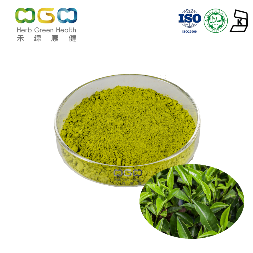 Bebida natural en polvo de té verde para antifatiga